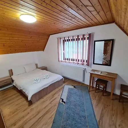 Pensiunea Otilia-2