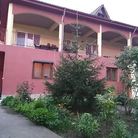 Pensiune La Rodica-2