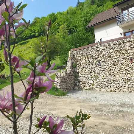 Valea lui Bogdan-2