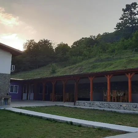 Telteu Florian-3