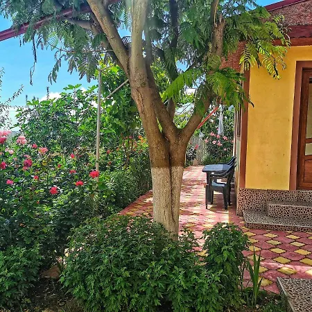 Casa Mădălina-2