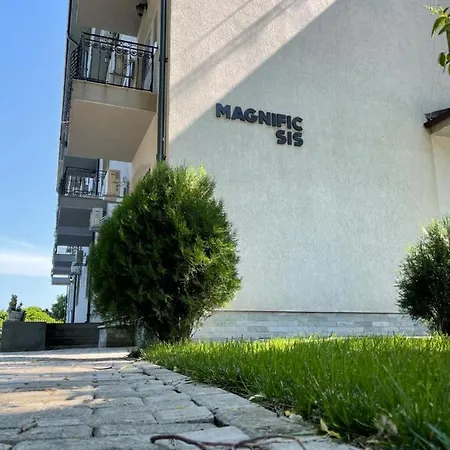 Magnific Sis-3