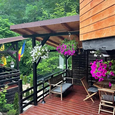 Casa Flandria-3
