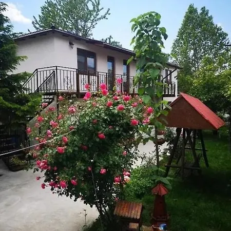Casa Tibi Si Nico-2