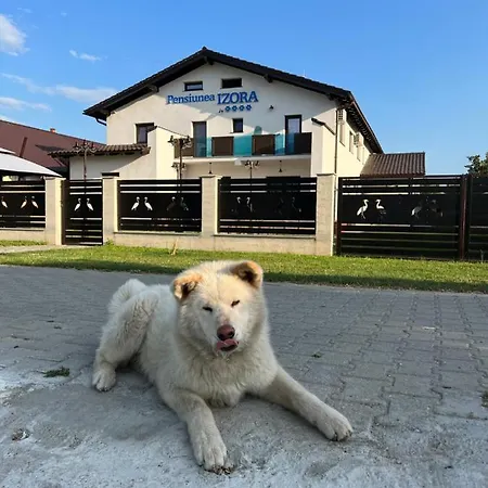 Pensiunea Izora-3