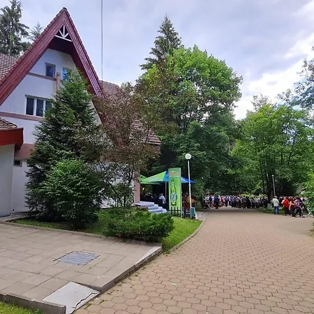 Pensiunea Happy Inn-2