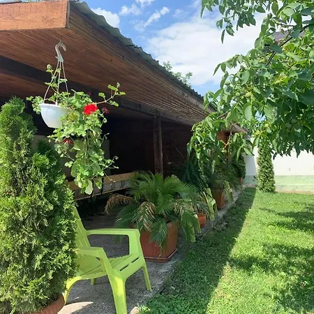 Pensiunea Panorama Arad-2