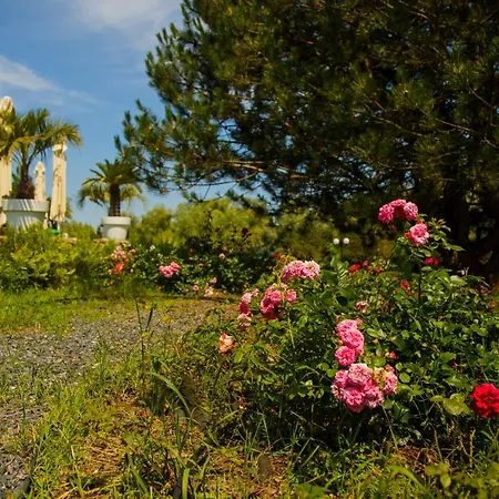 New Egreta Resort-3