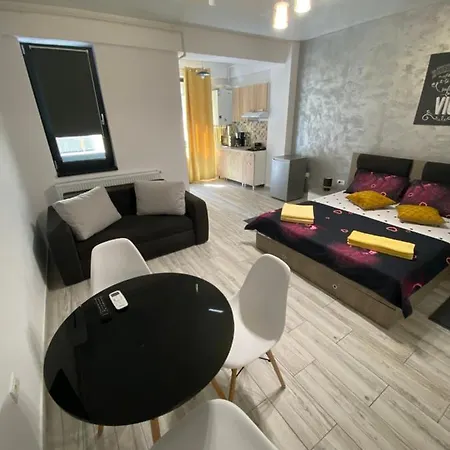 Garsoniera King Tip Studio-2