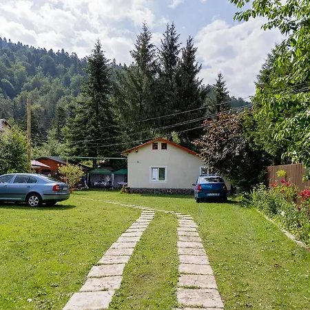 Pensiunea Montan Busteni-3