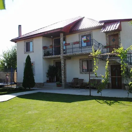 Vila Lăcrămioara din Mangalia-2