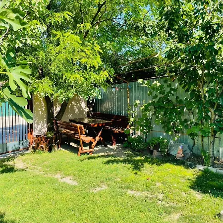 Casa De Vacanta Murighiol-3