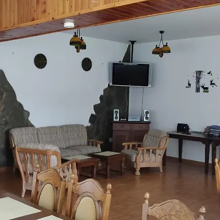 Pensiunea La Turcu-2
