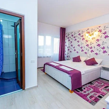 Vila Mercury Mamaia Nord-3
