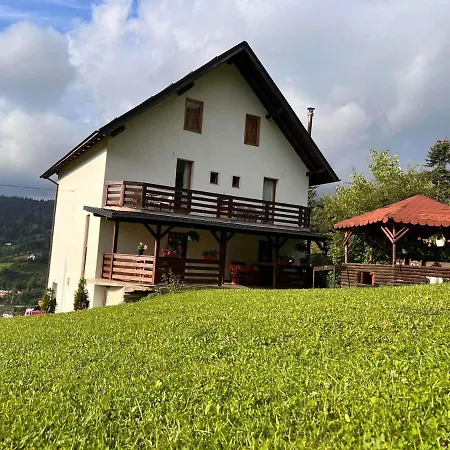Casa Viorica-3