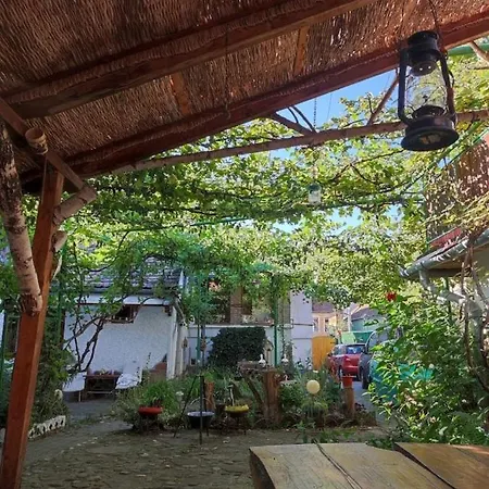 Casa Costea-2