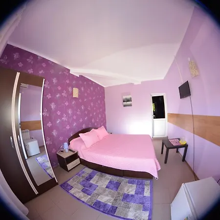 Vila Alexandru-3