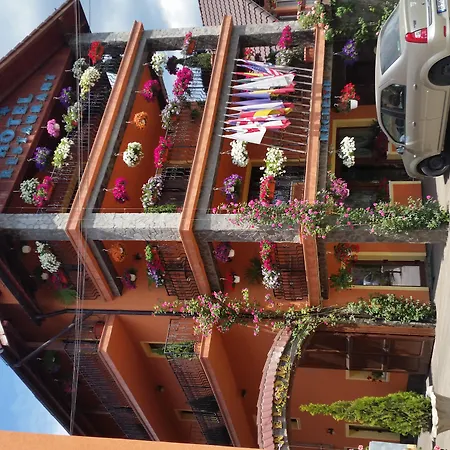 Max International Hotel-2