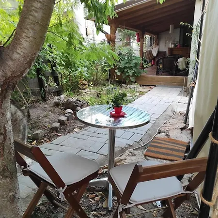 Casa Soarelui-2