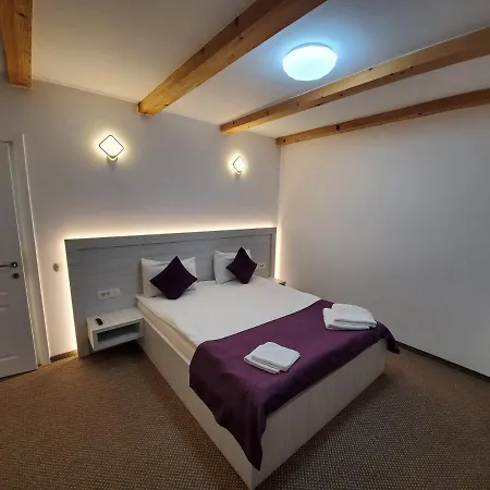 Guesthouse Bran-3