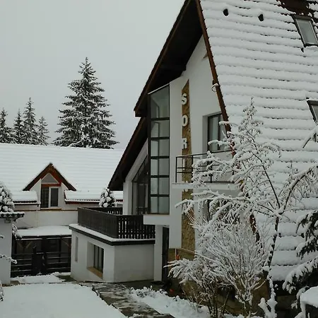 Vila Sorina-3