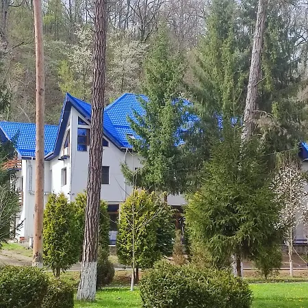 Hotel Parc Geoagiu Bai-2