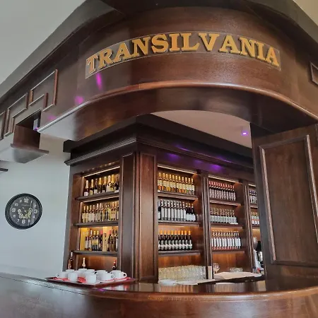 VILA Restaurant Transilvania-2