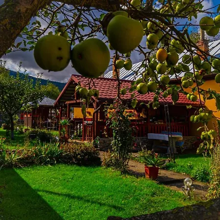 Casa Ardeleana-2