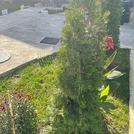 Casa Roa-3