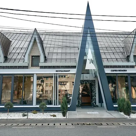 Pensiune Restaurant Capra Neagra-2