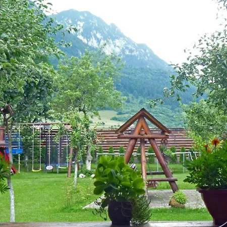 Sura Pietrei Craiului-3
