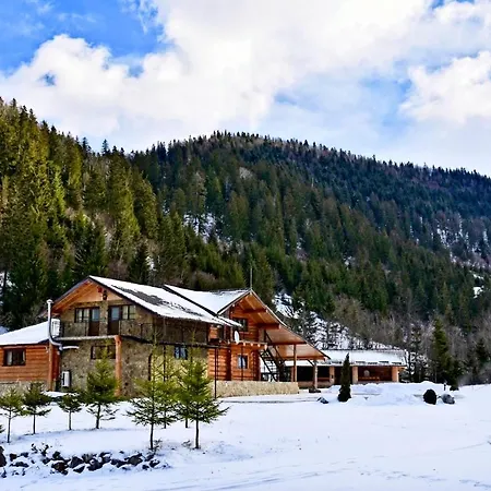 Staniștea Cerbilor-2