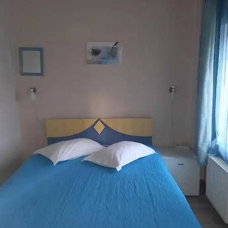Pensiunea Vila Dana-2