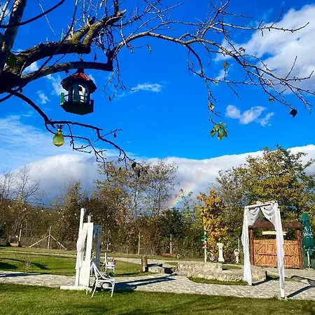Satul Cu Flori-2