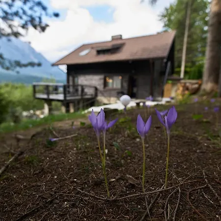 Chalet&Spa Maestrul si Margareta-2