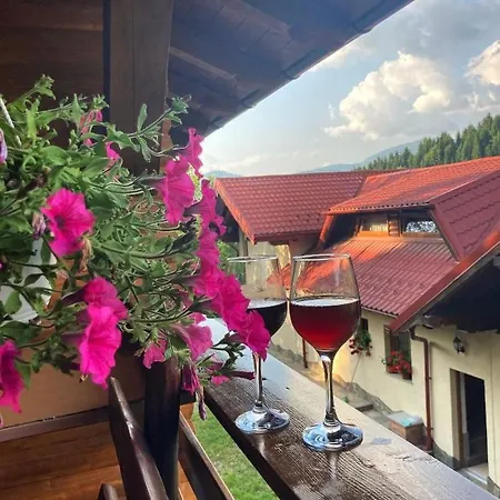 Pensiunea Dumitrita-3