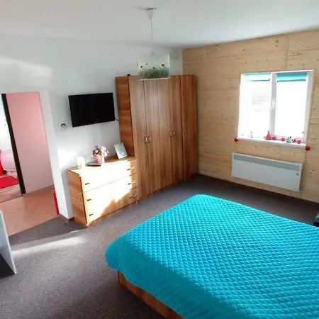 Cosy Apart Satu Mare-3