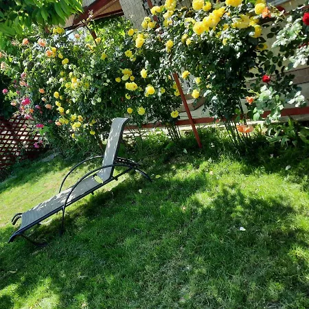Casa de vacanta Alexoiu 2 Mai-2