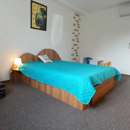 Cosy Apart Satu Mare-2