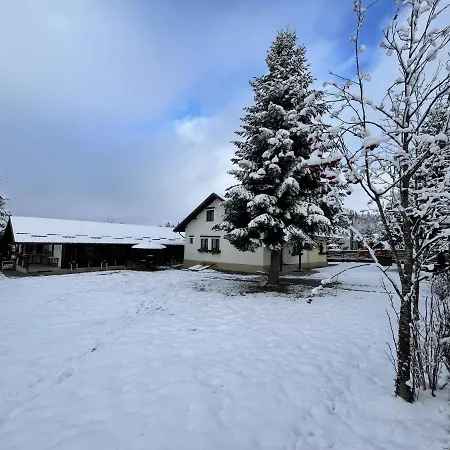 Pensiunea Vis Alpin Belis-2