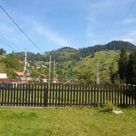 Pensiunea Puiu-3