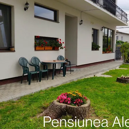 Pensiunea Alesia-2