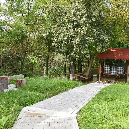 Tomis House-2