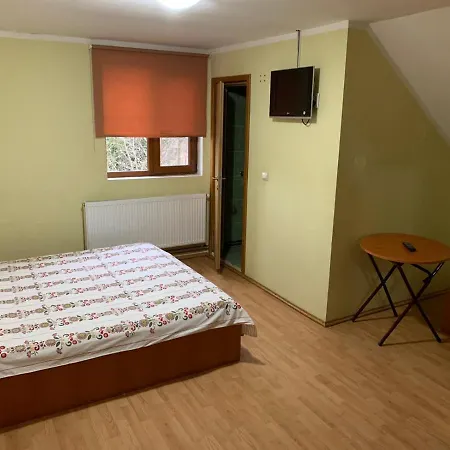 Chalet Forest Valea Avrigului-2