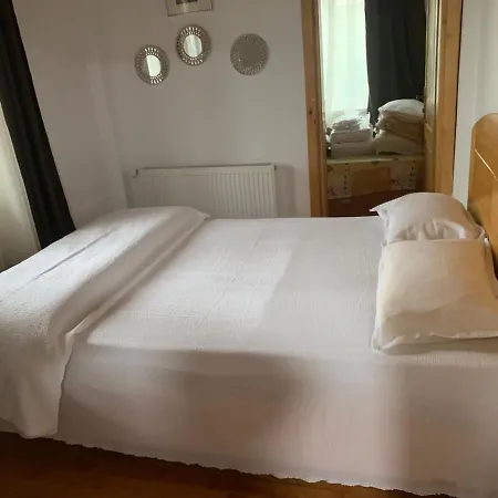 DELTA DUNĂRII -Casa IULIA -Partizani-3