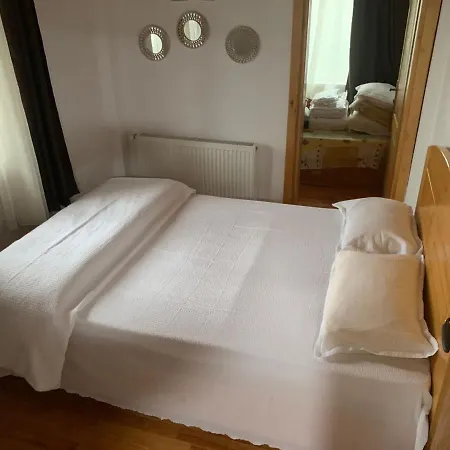 DELTA DUNĂRII -Casa IULIA -Partizani-2