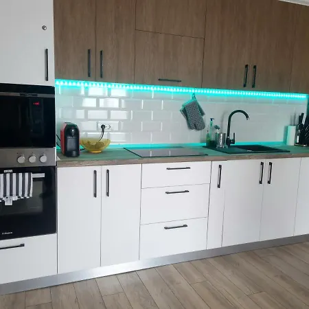 Apartamentul Stefan Baile Felix-2