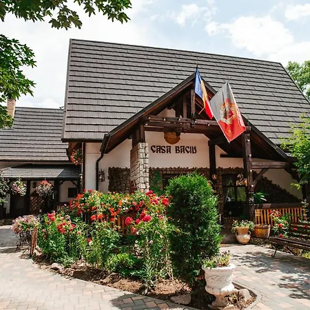 Casa Baciu-2