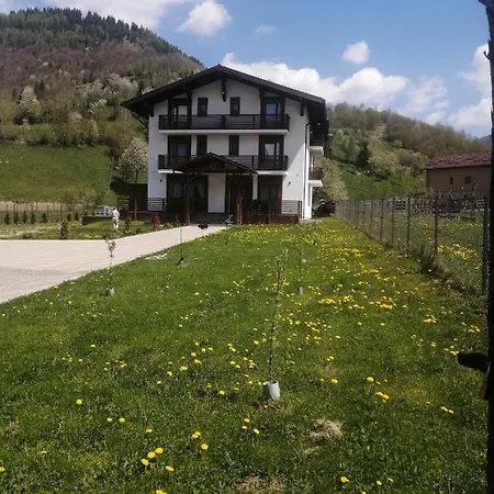 Pensiunea ACASA LA VLADUȚ-3