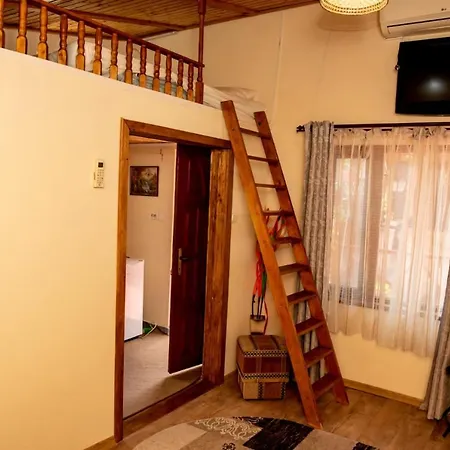 Casa Ecaterina 2 Mai-3